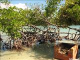 Isla de Guilligan - GUÁNICA
